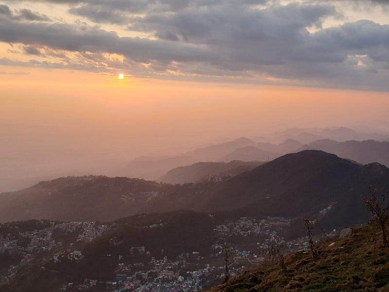 Waiting for the Flower to Bloom Inside