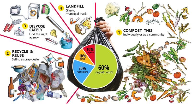 6 Ways I Have Gone Green And You Can Too