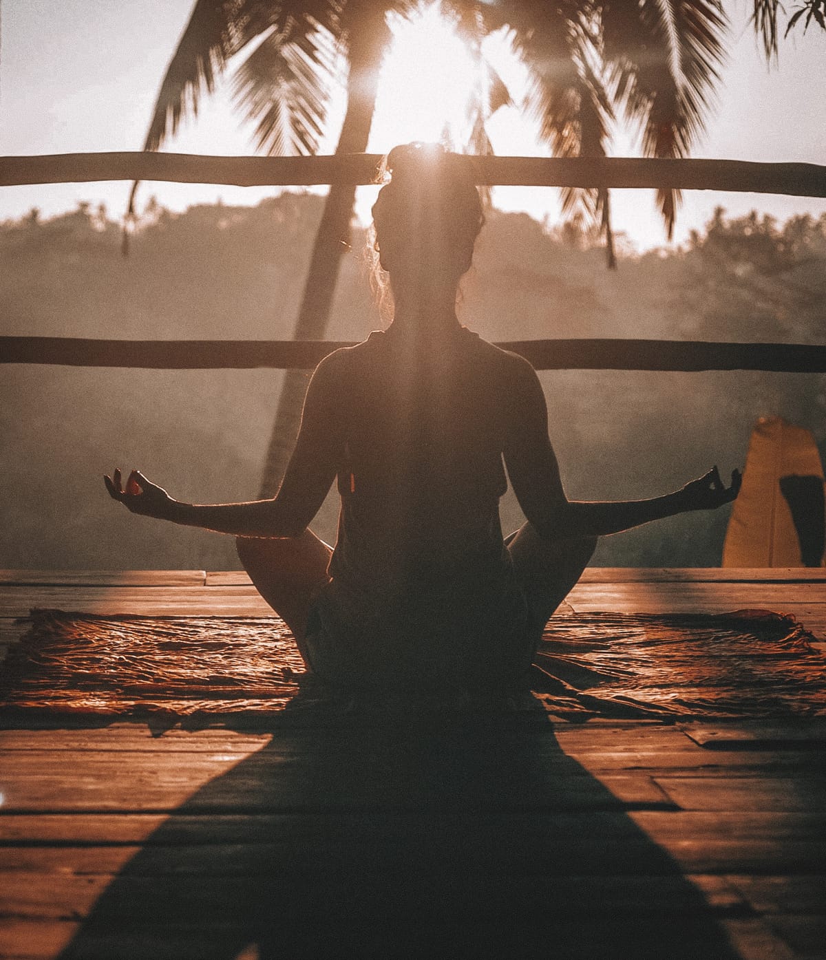 Introduction to Mindfulness and Meditation