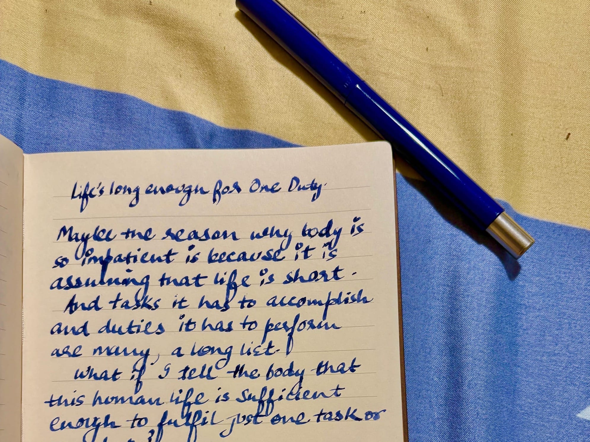 Handwritten text in a diary