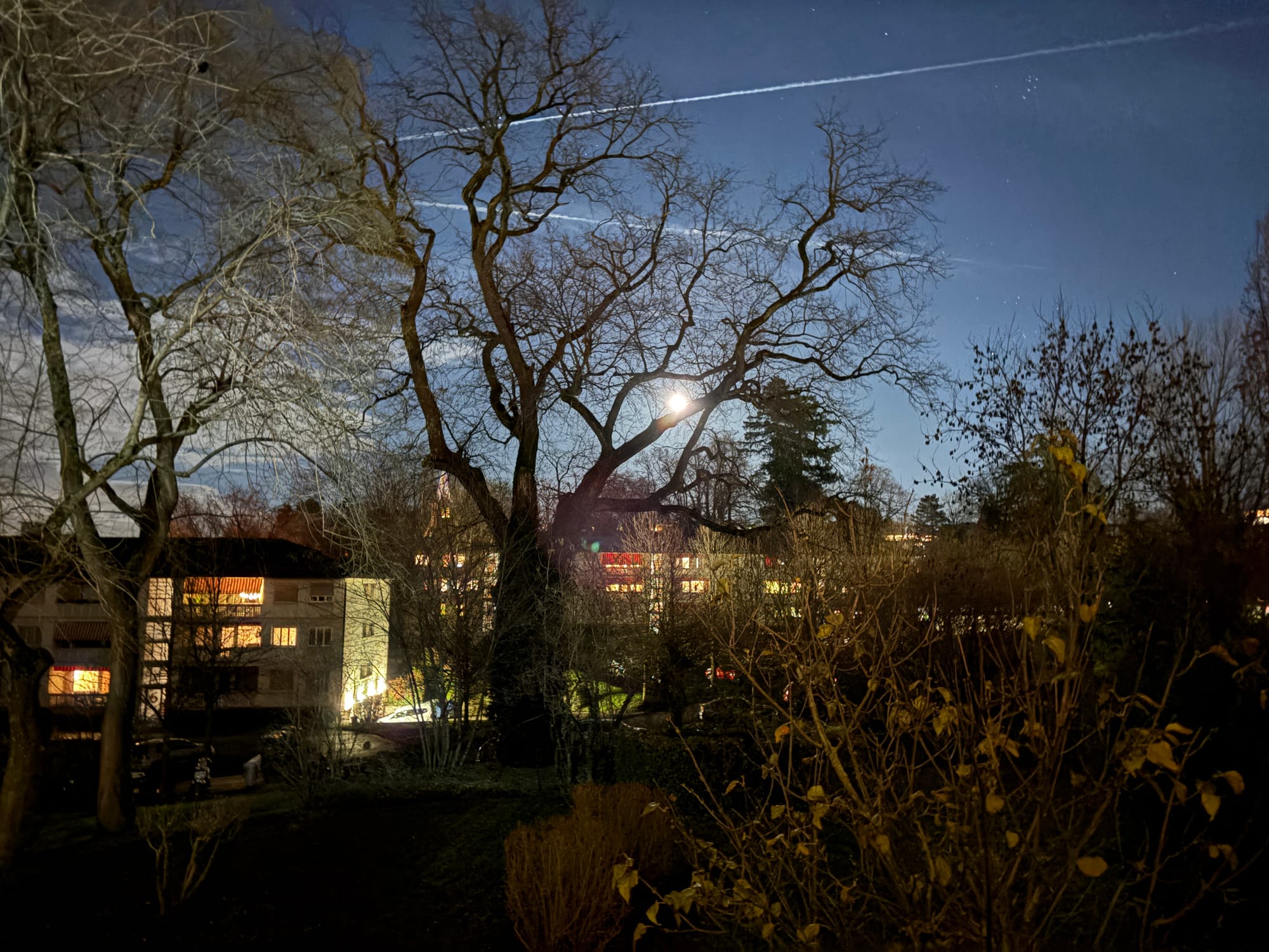 To resist the plan of existence is Struggle