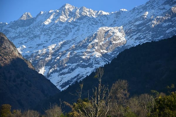 What you Consume Before Going to Bed can Change Your Life