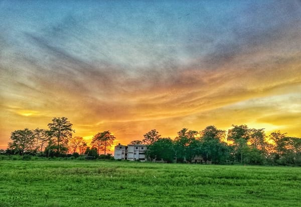 Capture the Moment or Live in the Moment