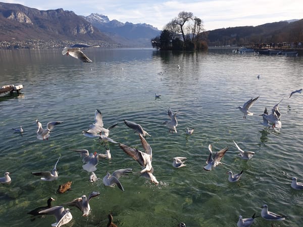 The Book That Moved me to Tears