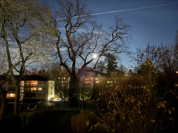 To resist the plan of existence is Struggle