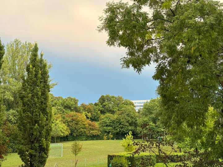 cloudy sky with trees in the foreground