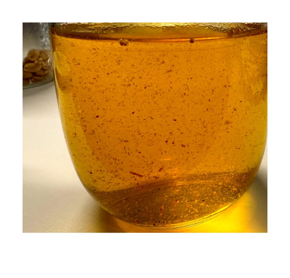 Living a Full Life is More Important Than Leading a Happy Life